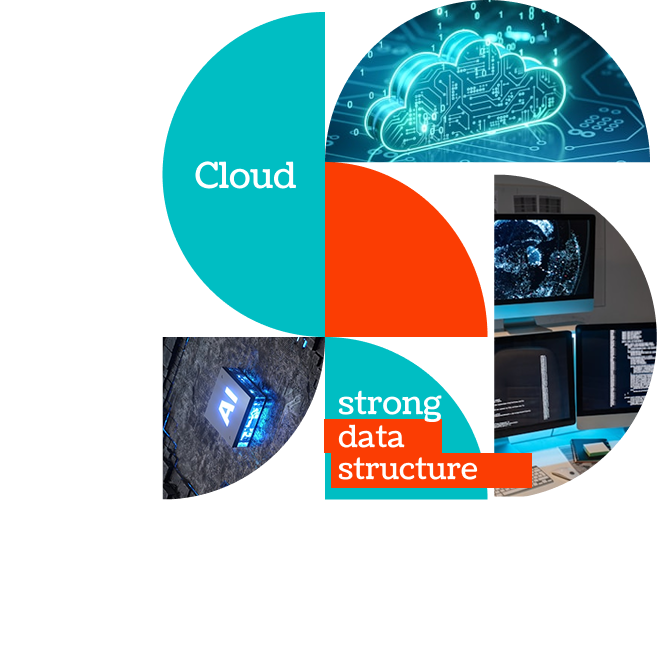 Atlas Data Software Solutions